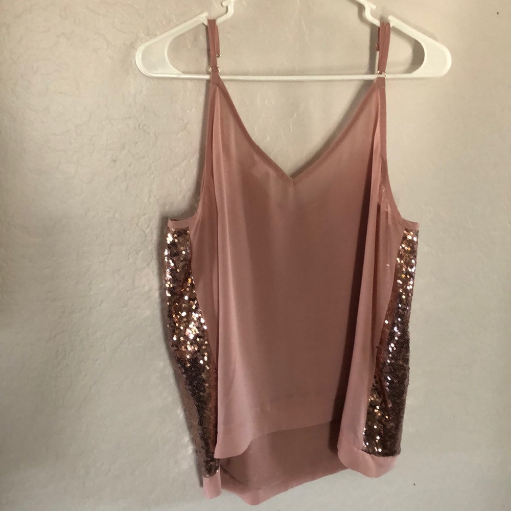 Blush Colored Sequence Glitter Chiffon Top - Picture 7 of 8